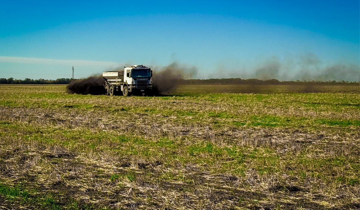 Compost on Beans in Coonawarra