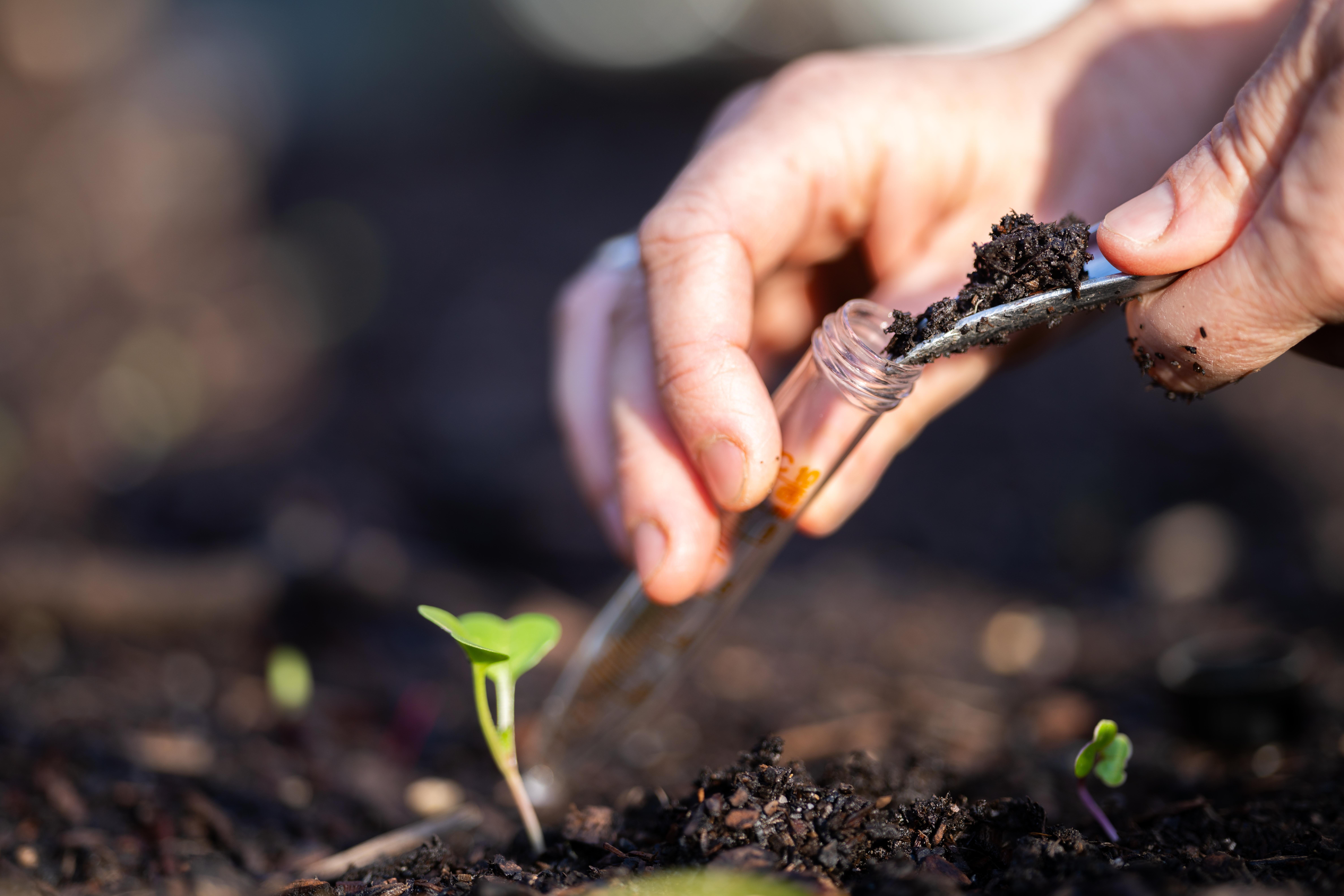 Soil testing helps growers identify nutrient constraints, assess soil organic carbon and make more informed decisions about soil improvement.