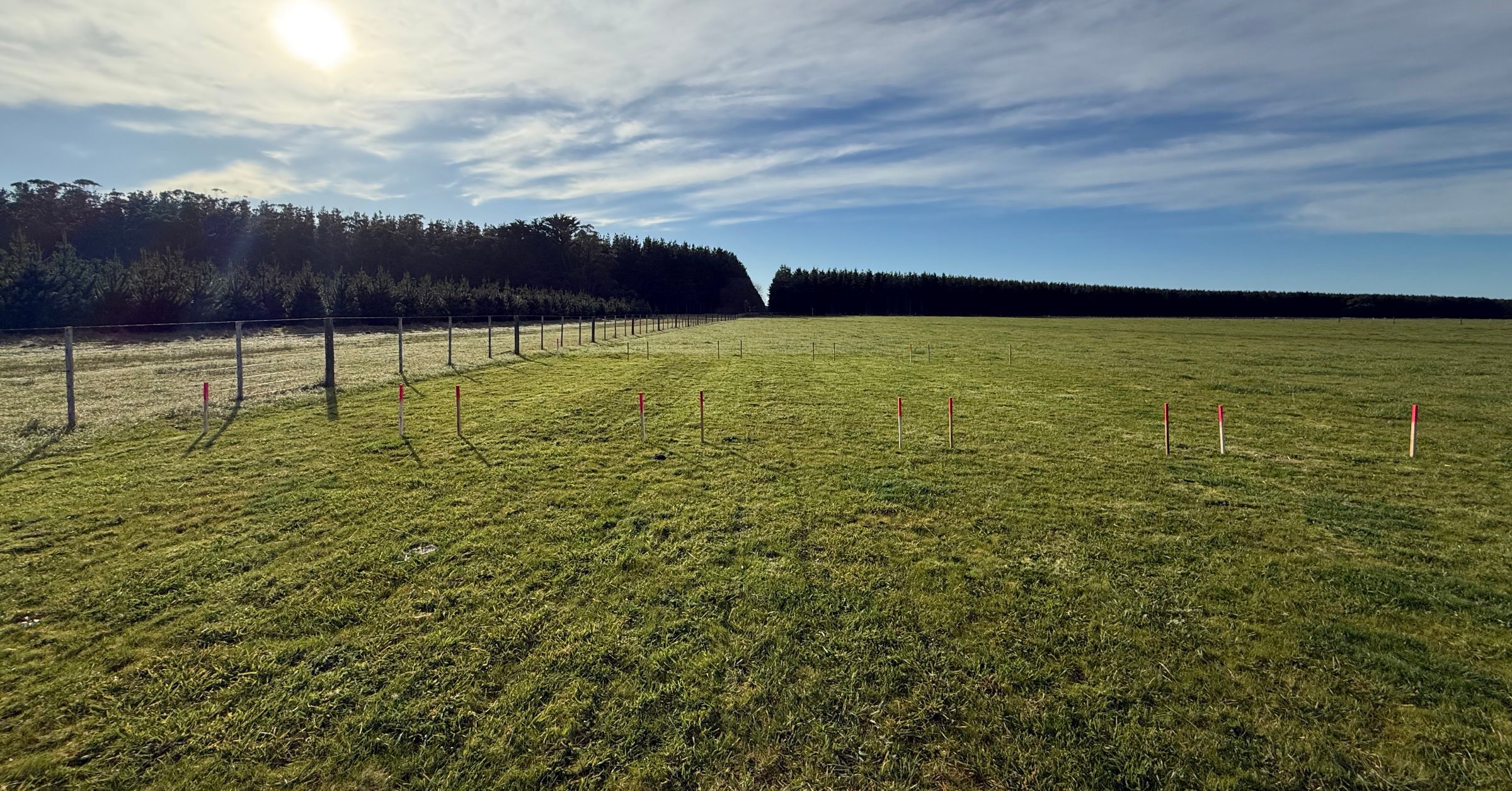 Superphosphate vs AgriGro Compost